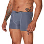 Cueca Microfibra Masculina Adulto Lagasi Cinza New Trip - REF. 3000