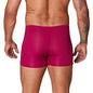 Cueca Microfibra Masculina Adulto Lagasi Marsala New Trip - REF. 3000
